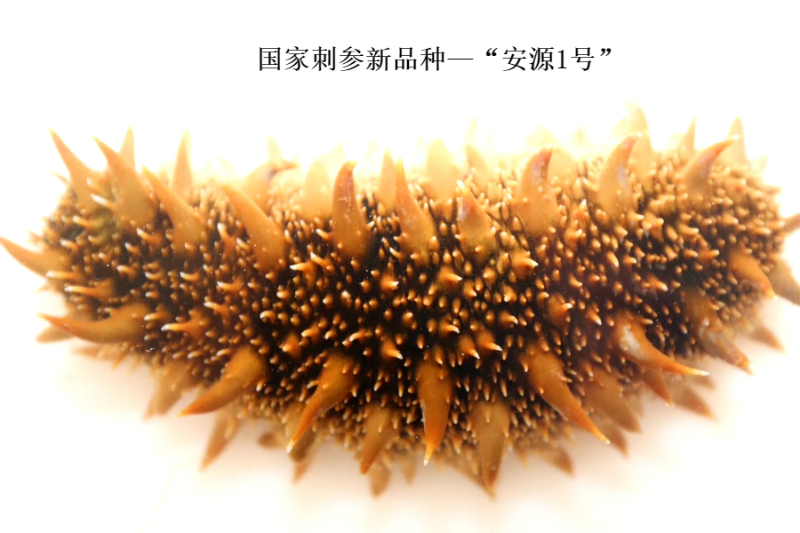 微信图片_20220414142956.png 微信图片_20220414142956.png