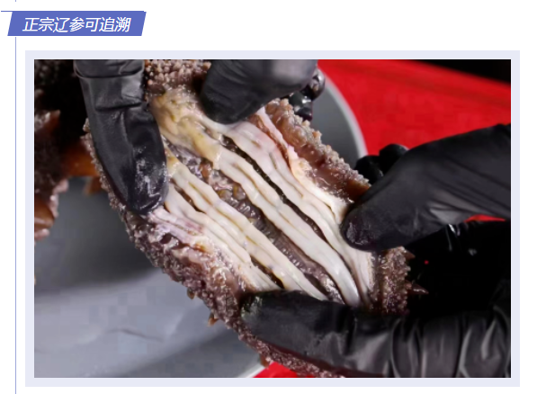微信图片_20230625160248.png 微信图片_20230625160248.png