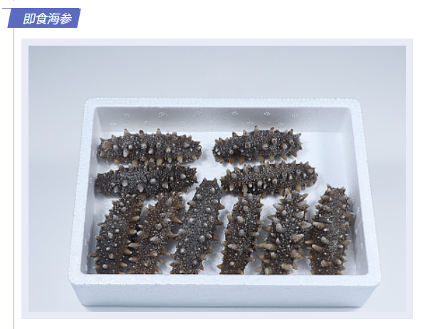 微信图片_20230701095902.png 微信图片_20230701095902.png