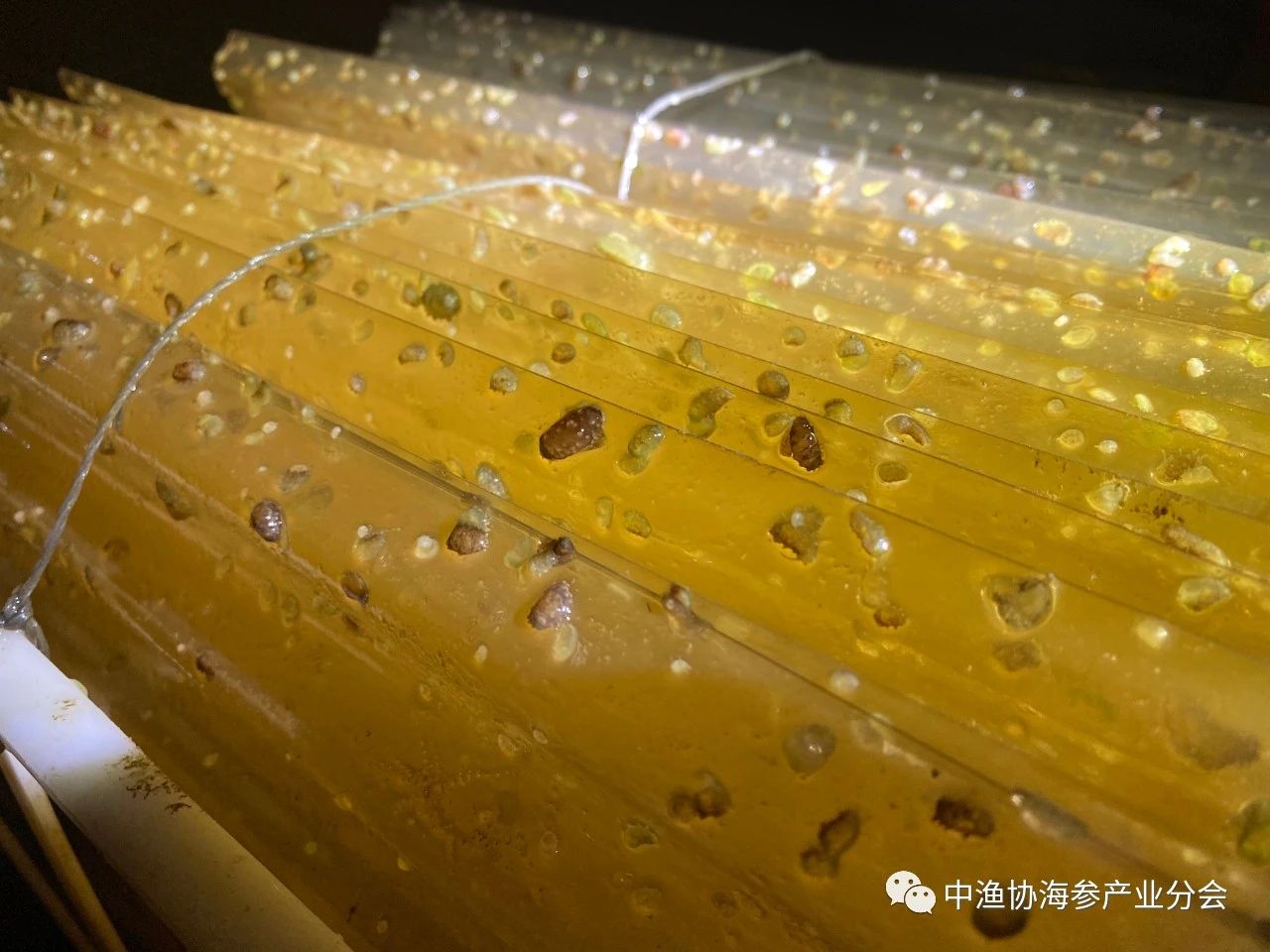 微信图片_20231024091810.jpg 微信图片_20231024091810.jpg