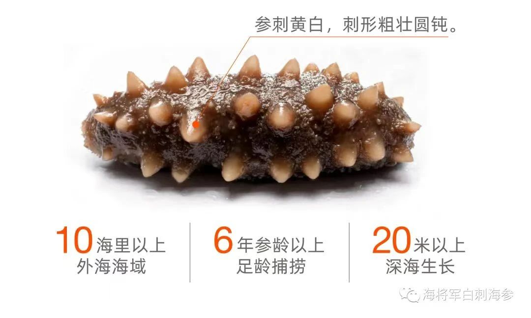微信图片_20231128111900.jpg 微信图片_20231128111900.jpg
