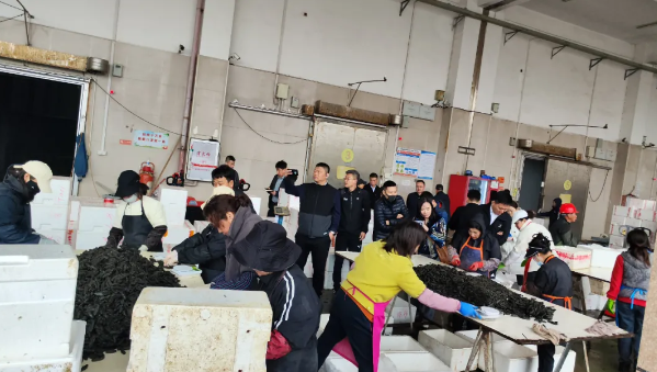 微信图片_20240412111732.png
