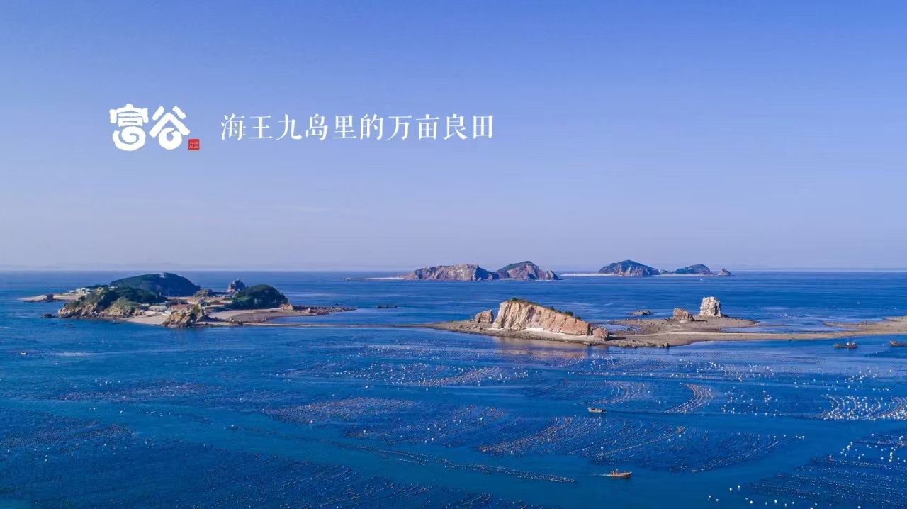 微信图片_20241125142921.jpg 微信图片_20241125142921.jpg