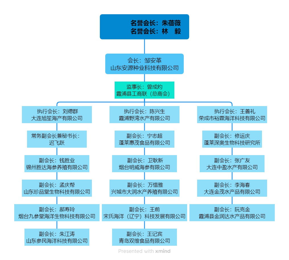 名誉会长：朱蓓薇              名誉会长：林    毅.png