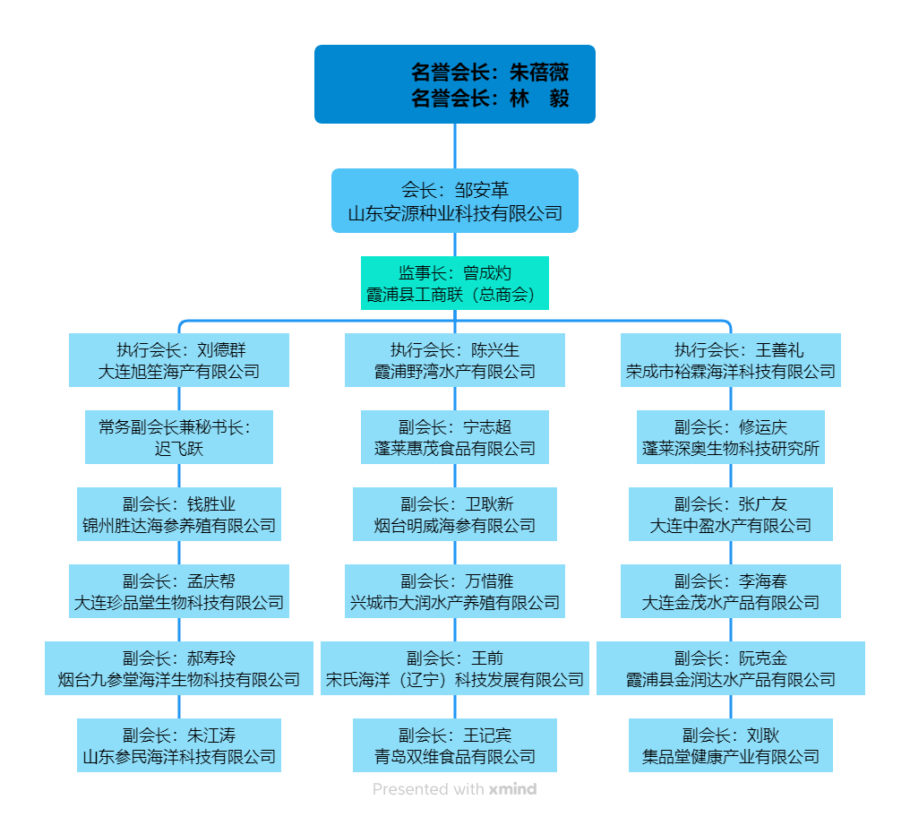 名誉会长:朱蓓薇 名誉会长:林 毅.png 名誉会长:朱蓓薇 名誉会长:林 毅.png