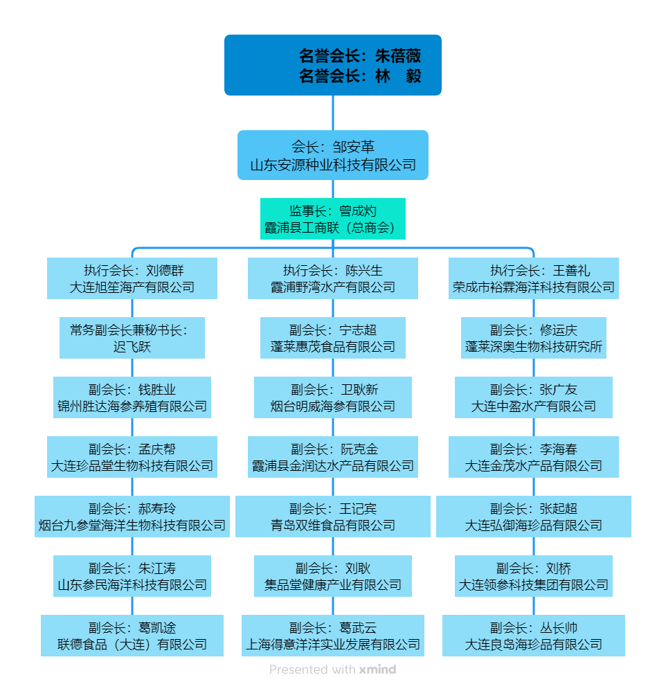 名誉会长：朱蓓薇              名誉会长：林    毅.png